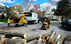 Best Hazardous Tree Removal  in Cherryland, CA